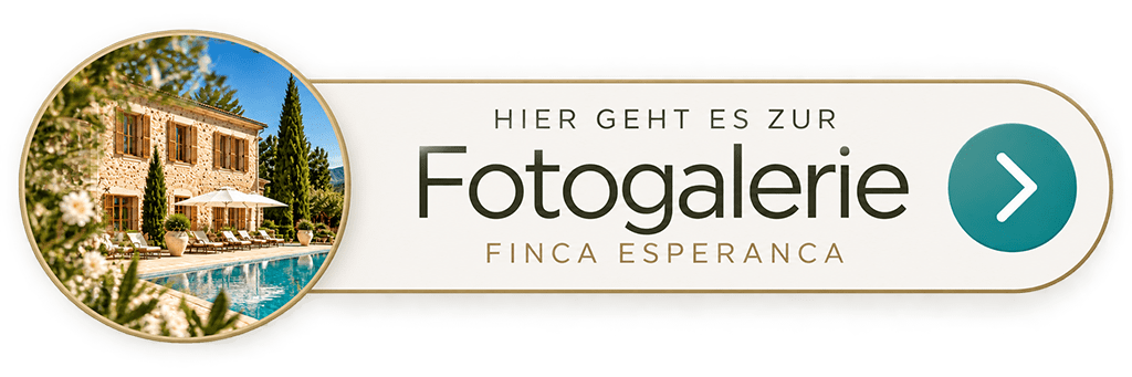 Fotos von Hochzeiten auf unserer Finca auf Mallorca ansehen